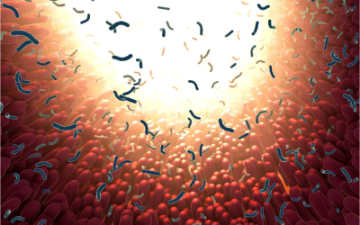 How the COVID Vaccine Could Harm Your Gut, Leading to Brain Fog and Autoimmune Disease